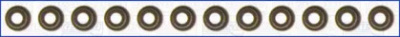 WILMINK GROUP wg1169830 -  